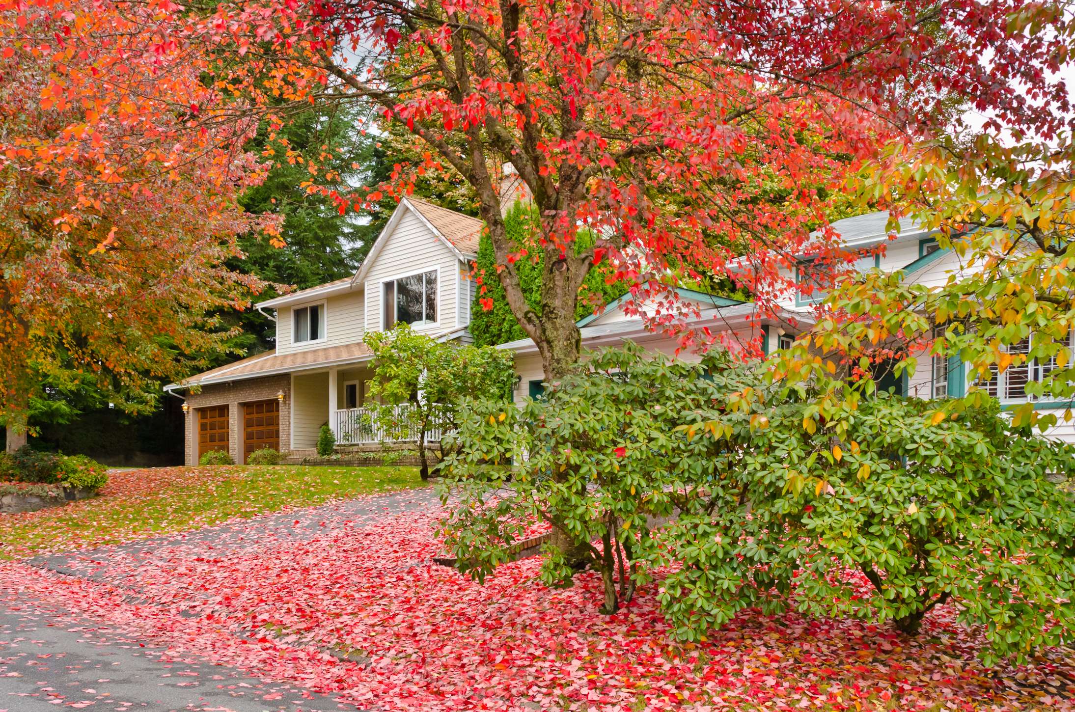 best fall fertilizer for trees, Abington MA